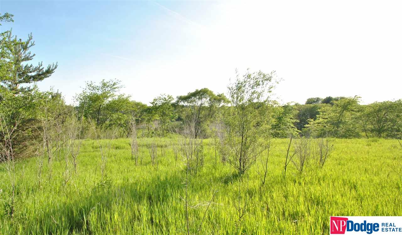 11 CR 37Cottonwood Creek, Blair, NE 68008