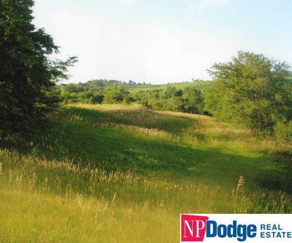 11 CR 37Cottonwood Creek, Blair, NE 68008