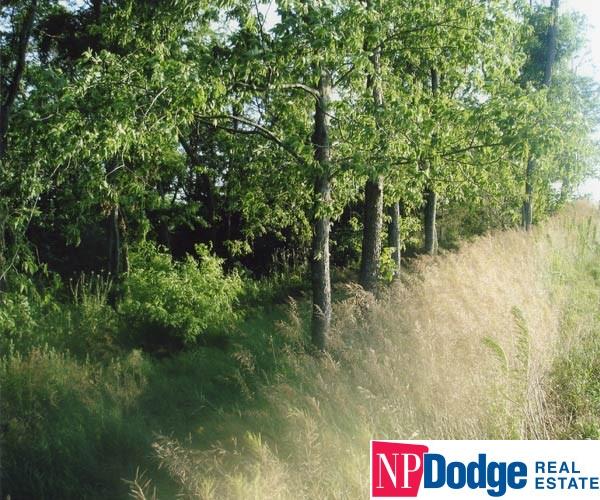 30 CR 37Cottonwood Creek, Blair, NE 68008