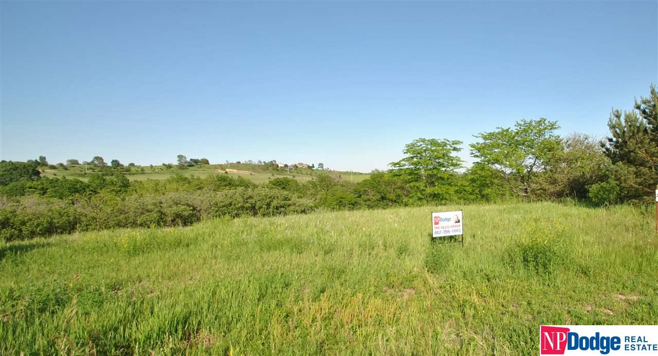 45 CR 37Cottonwood Creek, Blair, NE 68008