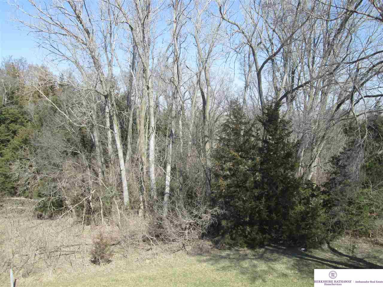 206 E Riverview, Blair, NE 68008