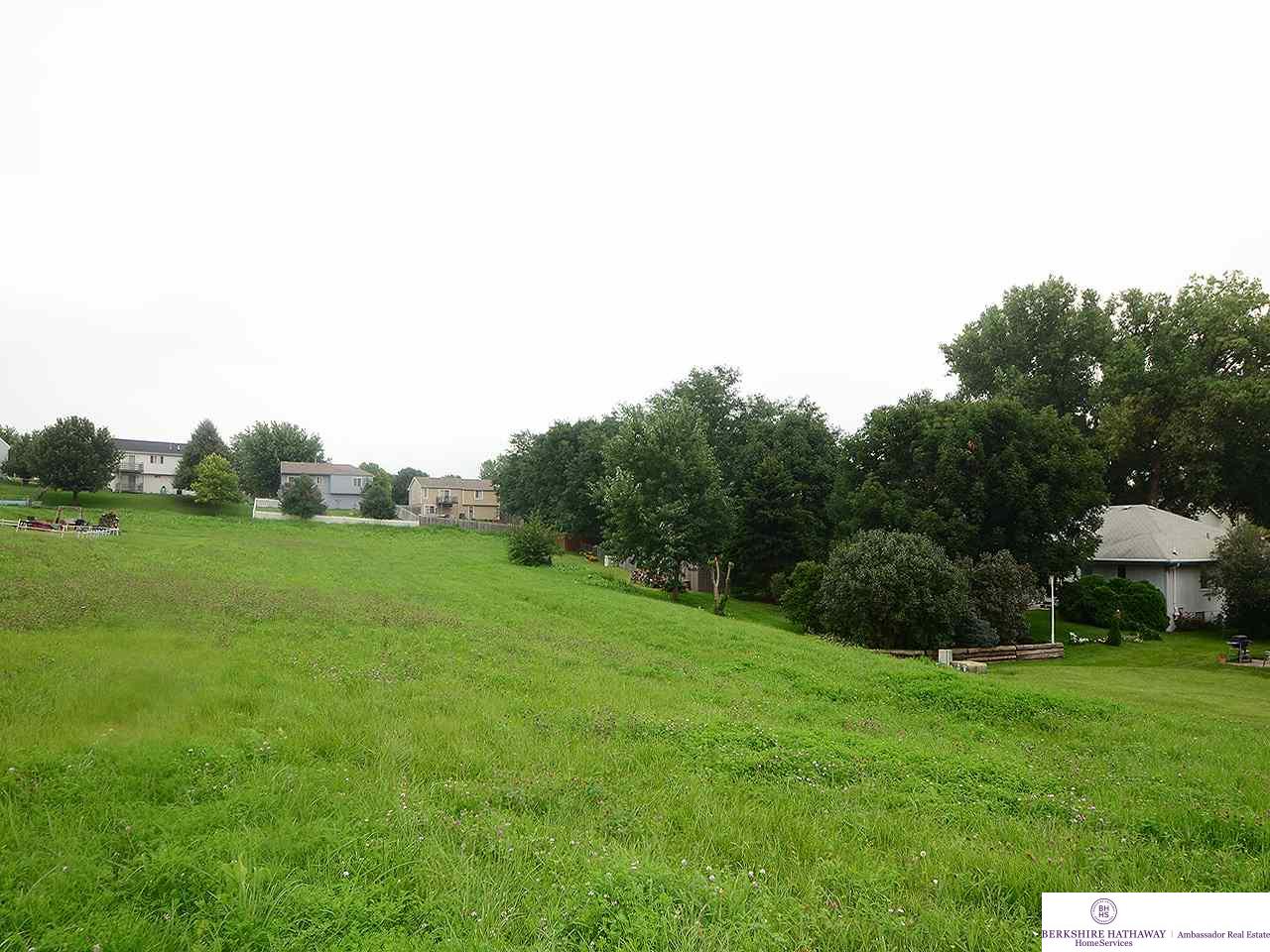 Lot 2 N Winterburn, Elkhorn, NE 68022