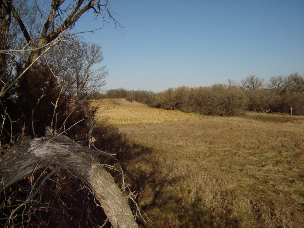 Bareland , Oconto, NE 68860