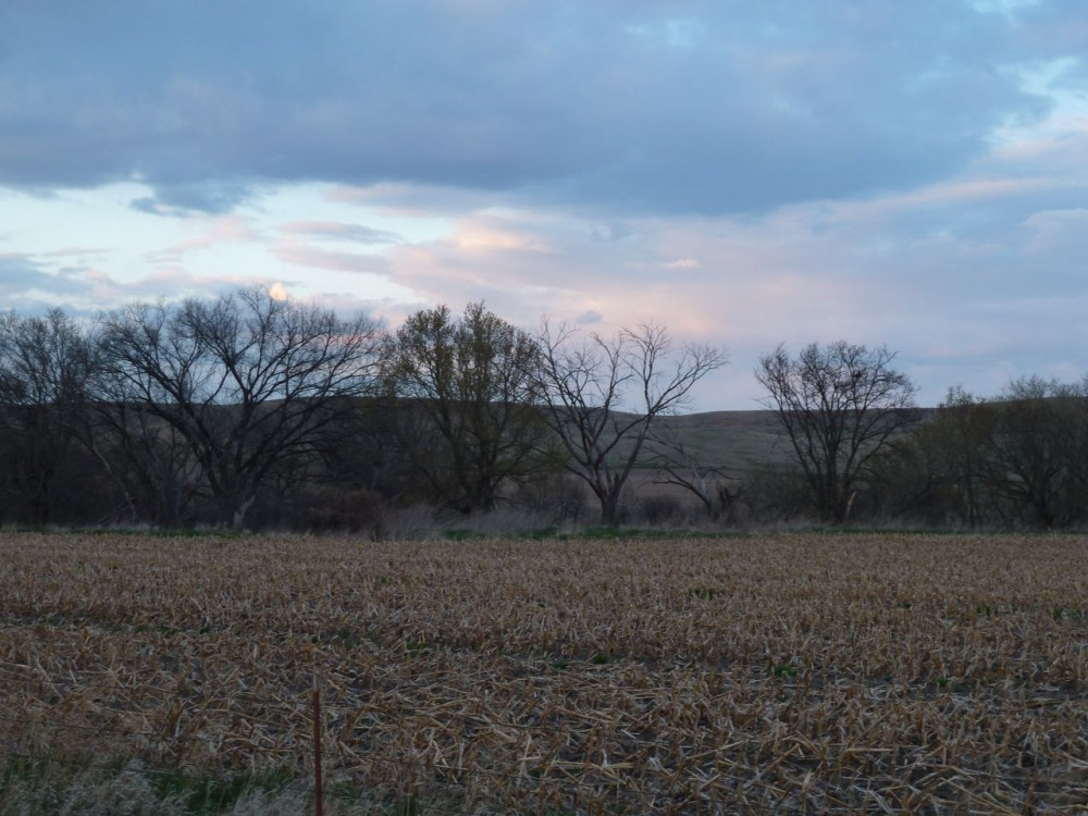 Bareland , Oconto, NE 68860