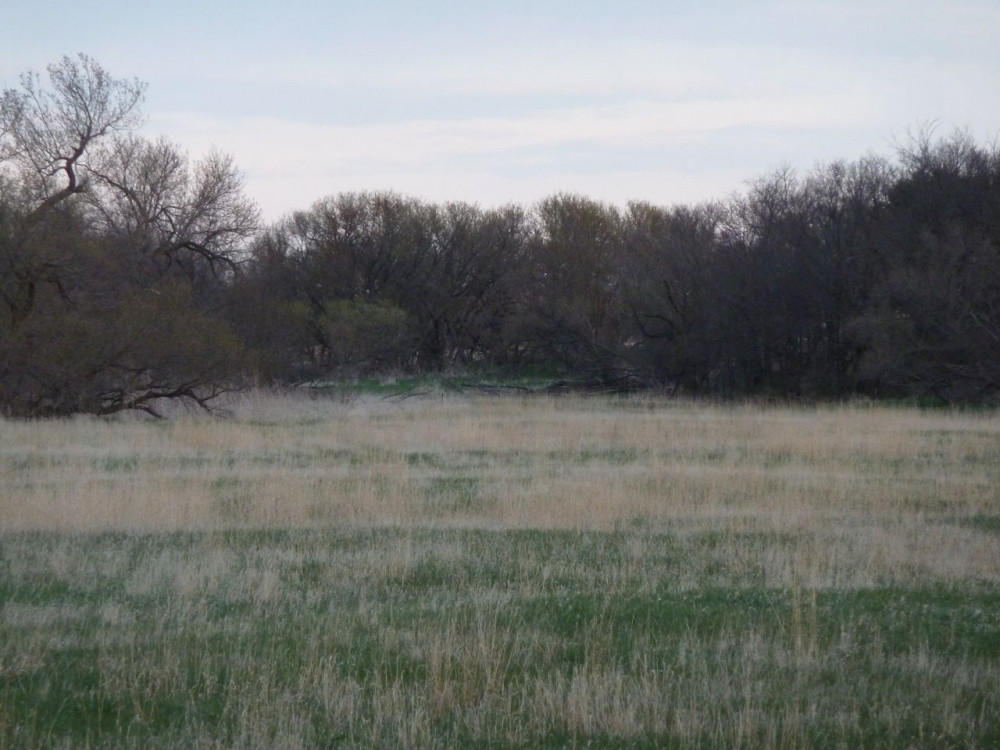 Bareland , Oconto, NE 68860