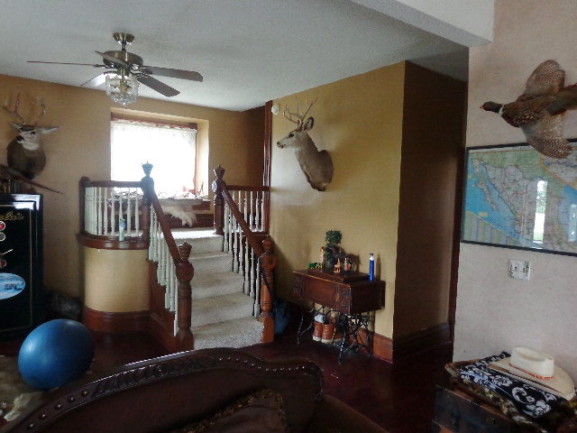 11607 Shelton Rd, Shelton, NE 68876