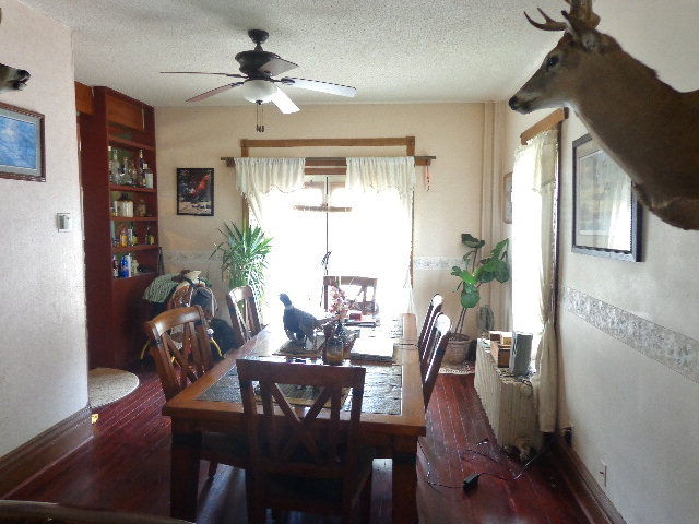 11607 Shelton Rd, Shelton, NE 68876