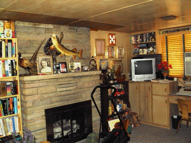 203 N BRYAN AVE, North Platte, United States 69101