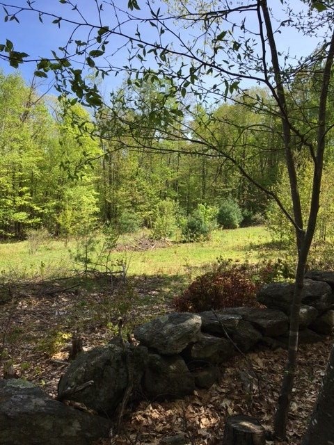 02 09 Barrett Hill Road, Greenville, NH 03048
