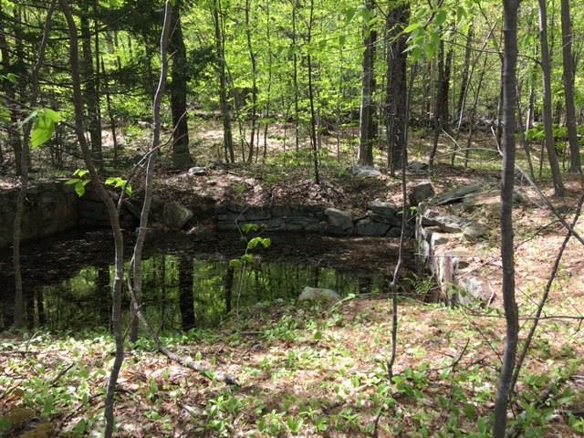 02 09 Barrett Hill Road, Greenville, NH 03048