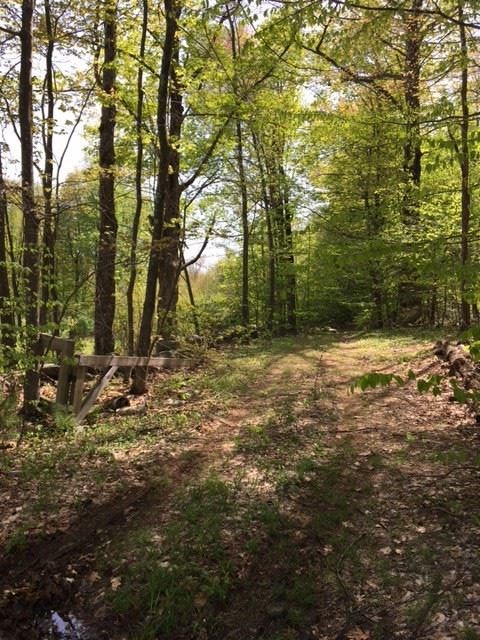 02 09 Barrett Hill Road, Greenville, NH 03048
