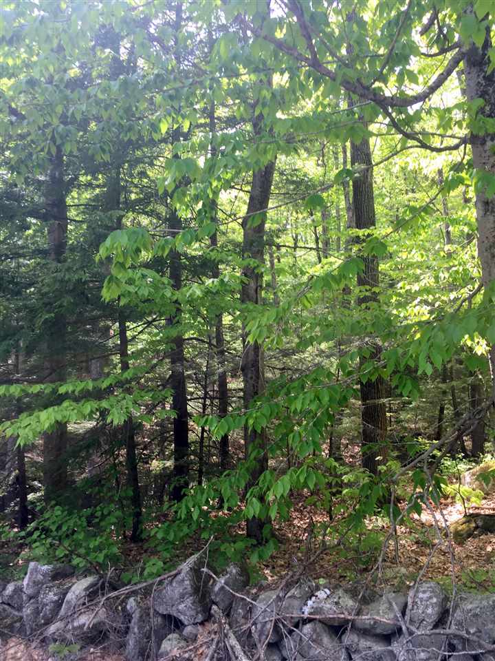 lot 12-21 McCurdy Road, New Boston, NH 03070