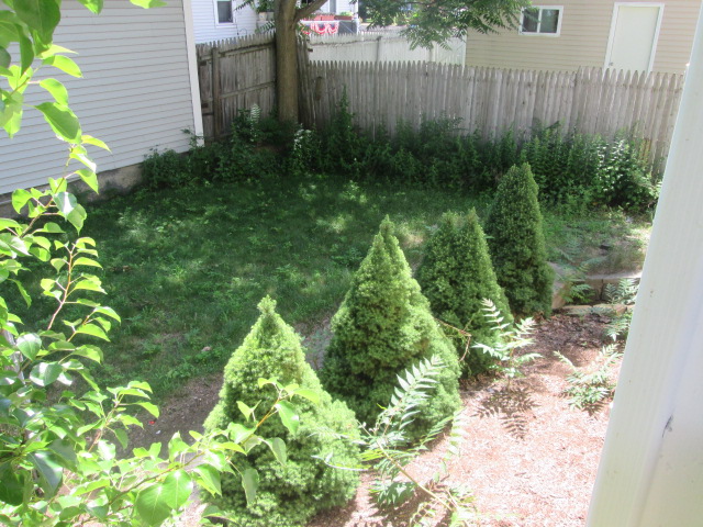 7 Elm StreetManchester, NH, 03103Hillsborough County