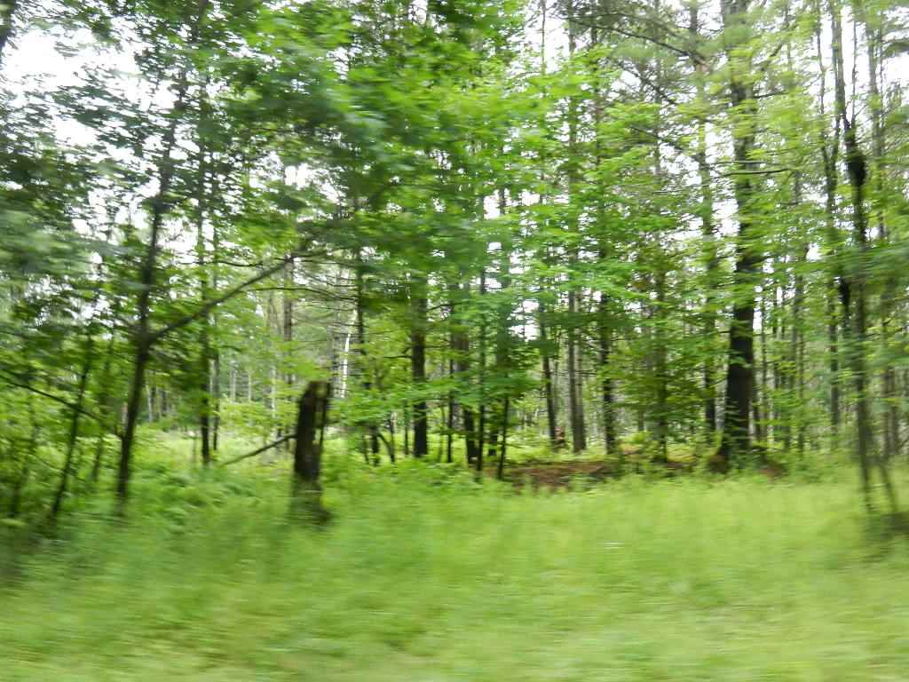 29 NH Route 175, Ashland, NH 03217
