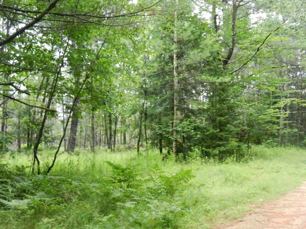29 NH Route 175, Ashland, NH 03217