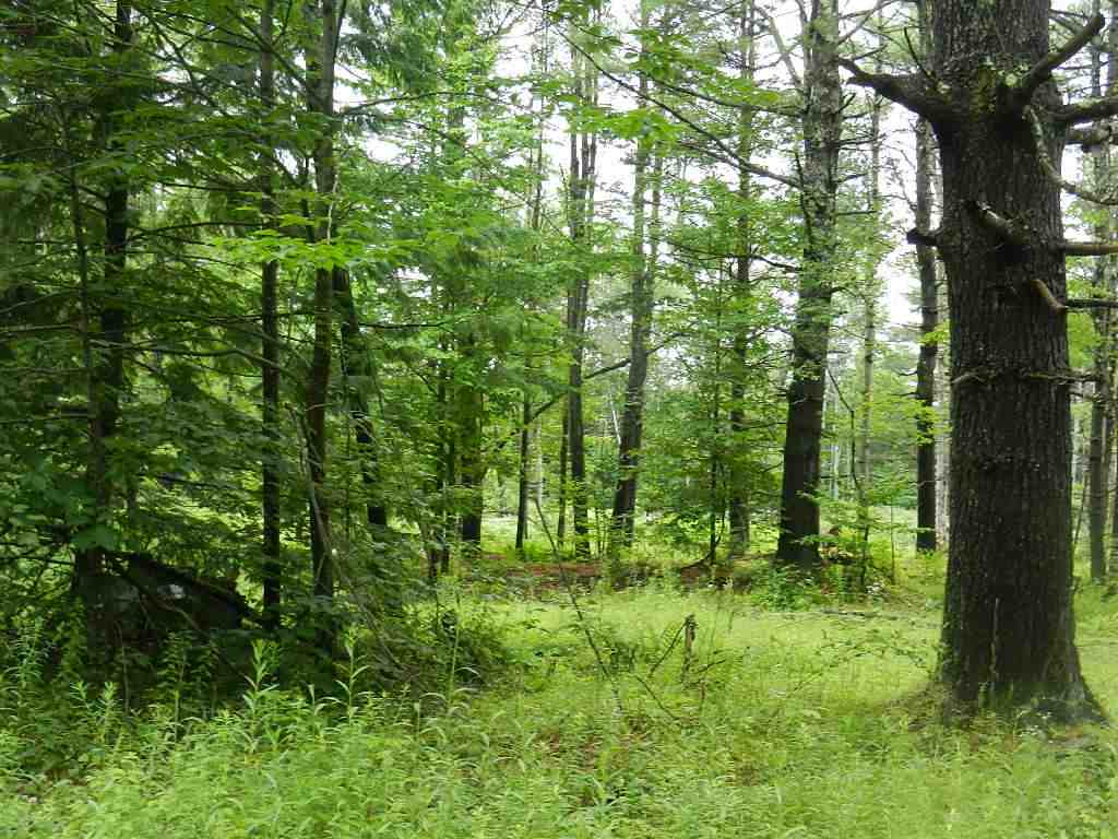 29 NH Route 175, Ashland, NH 03217