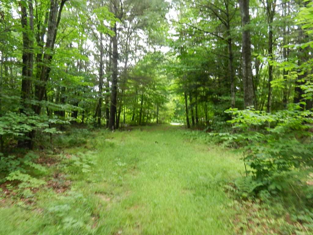 29 NH Route 175, Ashland, NH 03217