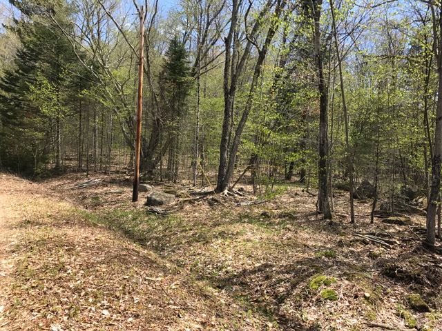 Loop Drive, Rumney, NH 03217
