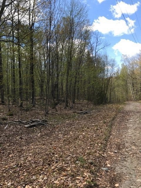Loop Drive, Rumney, NH 03217