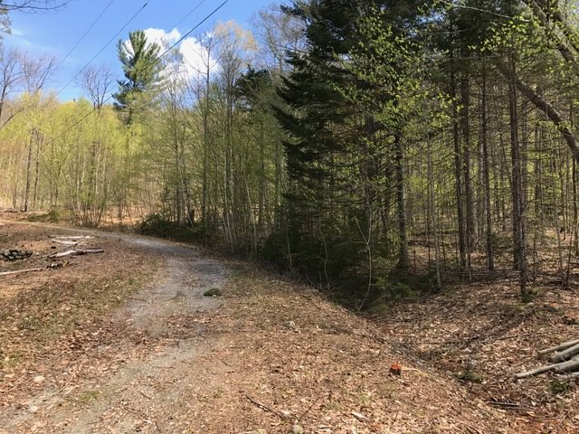 Loop Drive, Rumney, NH 03217