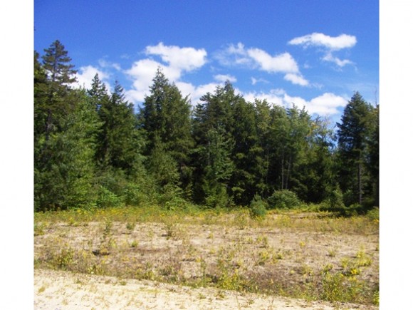 86 South Ridge Road, Bradford, NH 03221