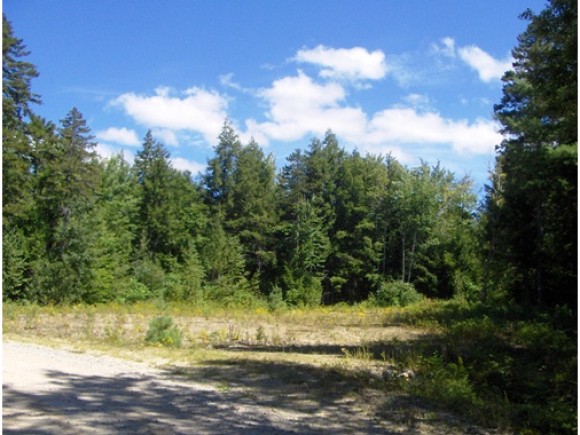 86 South Ridge Road, Bradford, NH 03221