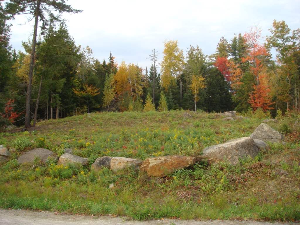 Lot 5 North Ridge Road Road, Bradford, NH 03221
