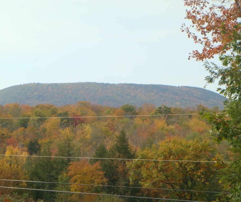 Lot 5 North Ridge Road Road, Bradford, NH 03221