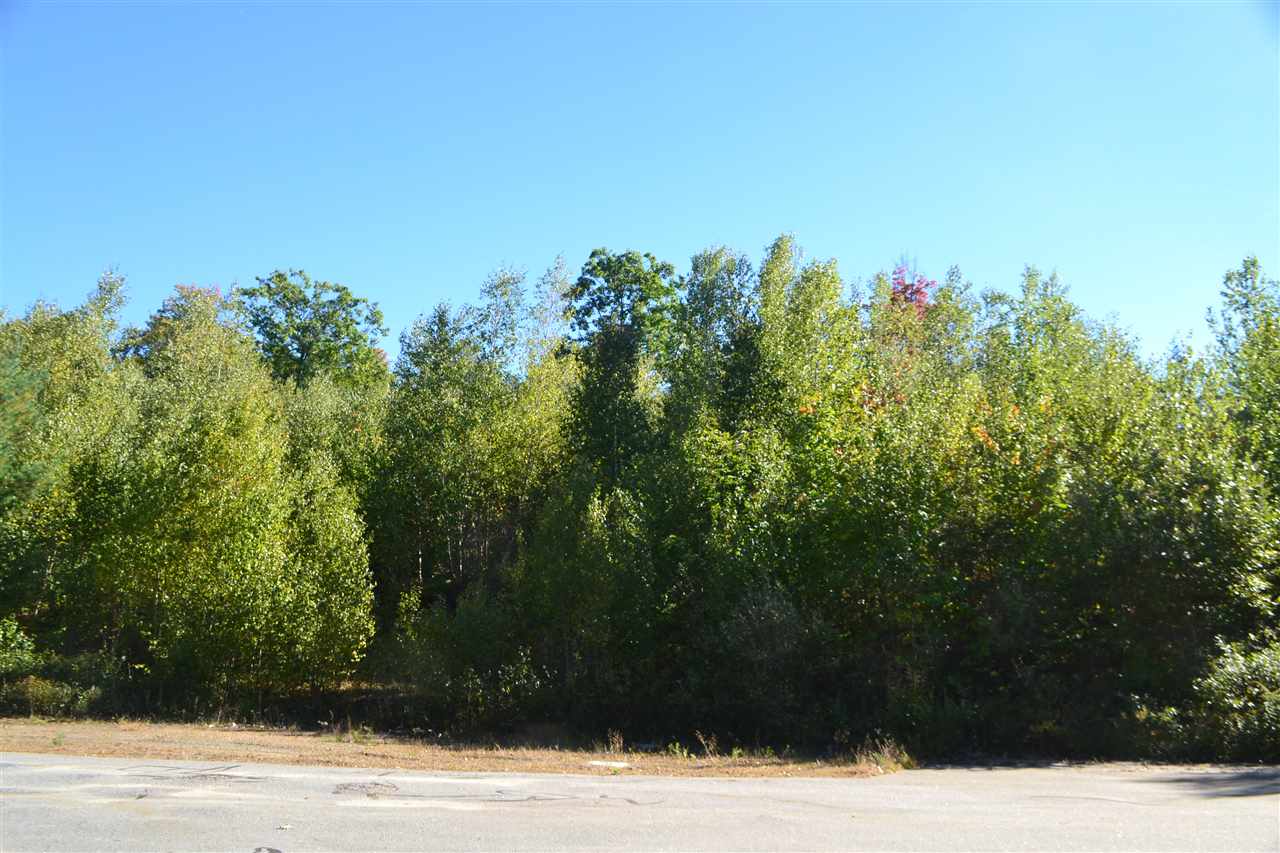 32 Autumn Lane, Bristol, NH 03222