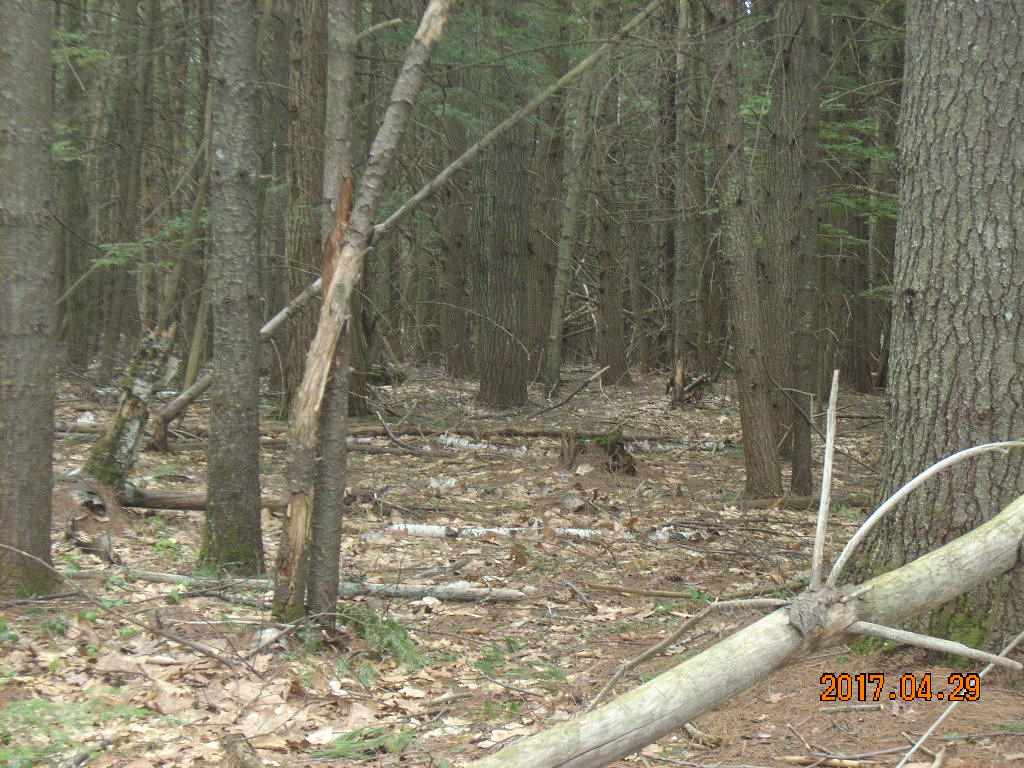 Lot 18 Jenness Hill Road, Bristol, NH 03222