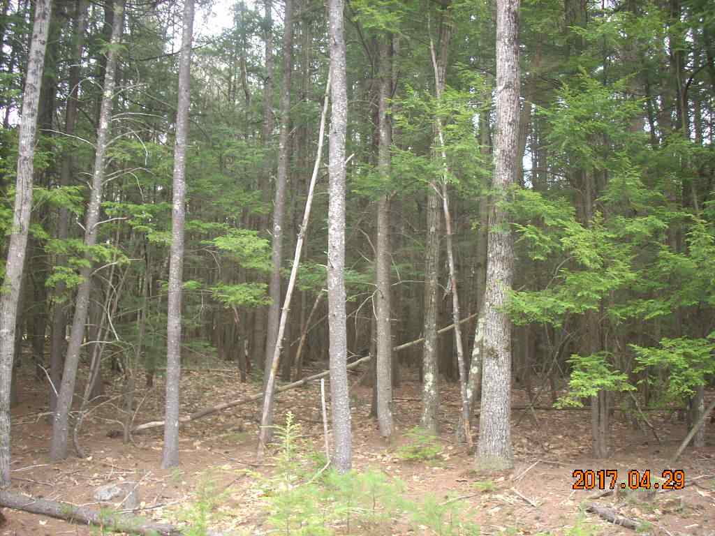 Lot 18 Jenness Hill Road, Bristol, NH 03222