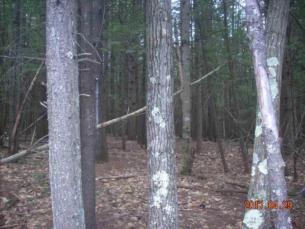 Lot 18 Jenness Hill Road, Bristol, NH 03222