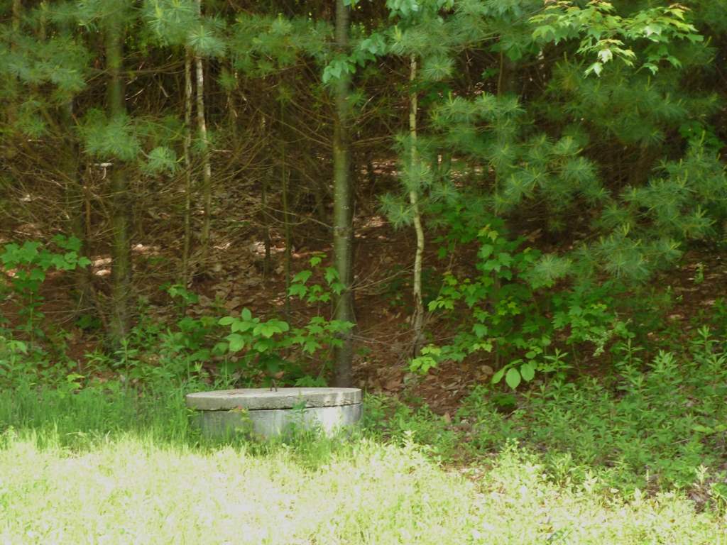 344 Oakcrest Road, Bristol, NH 03222
