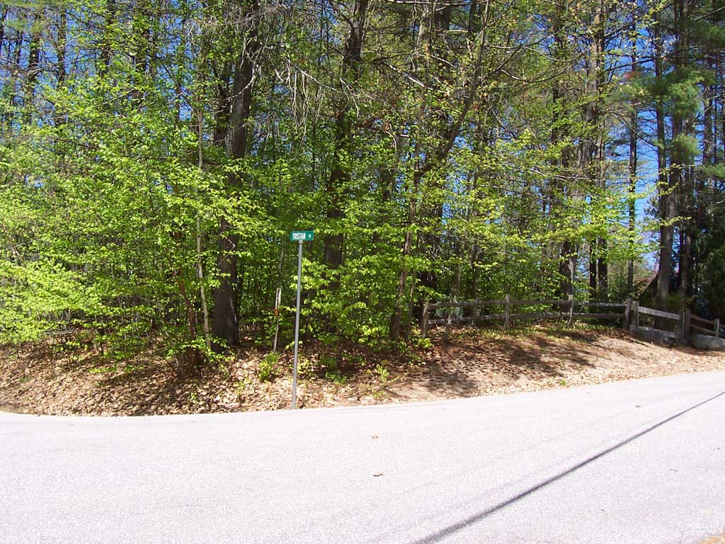 Lot 42 King Arthur Lane, Bristol, NH 03222