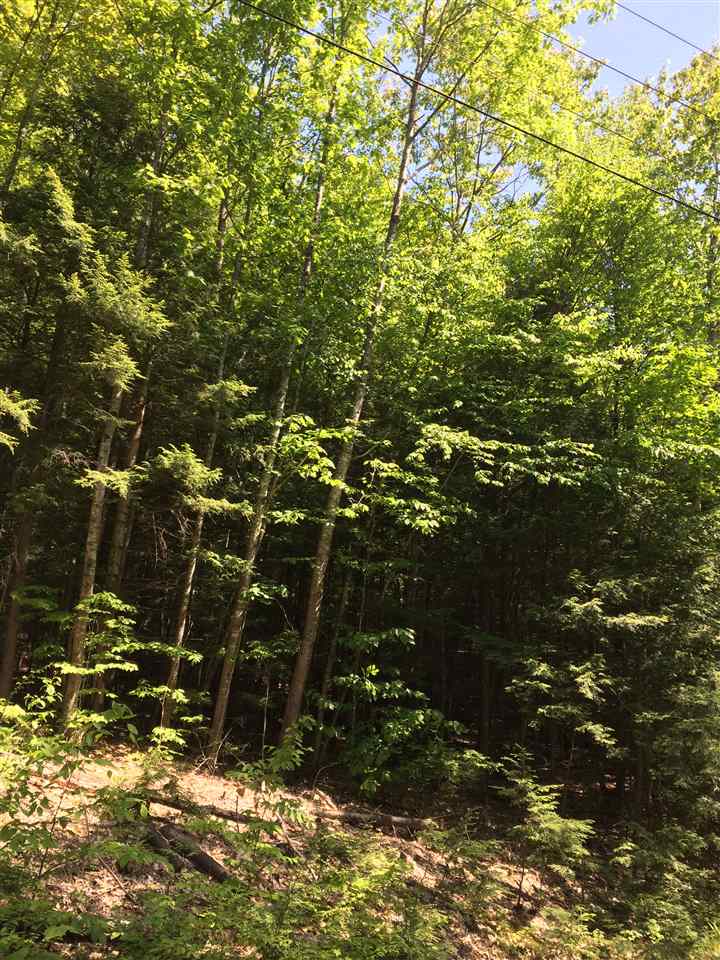 Doe Run, Thornton, NH 03223