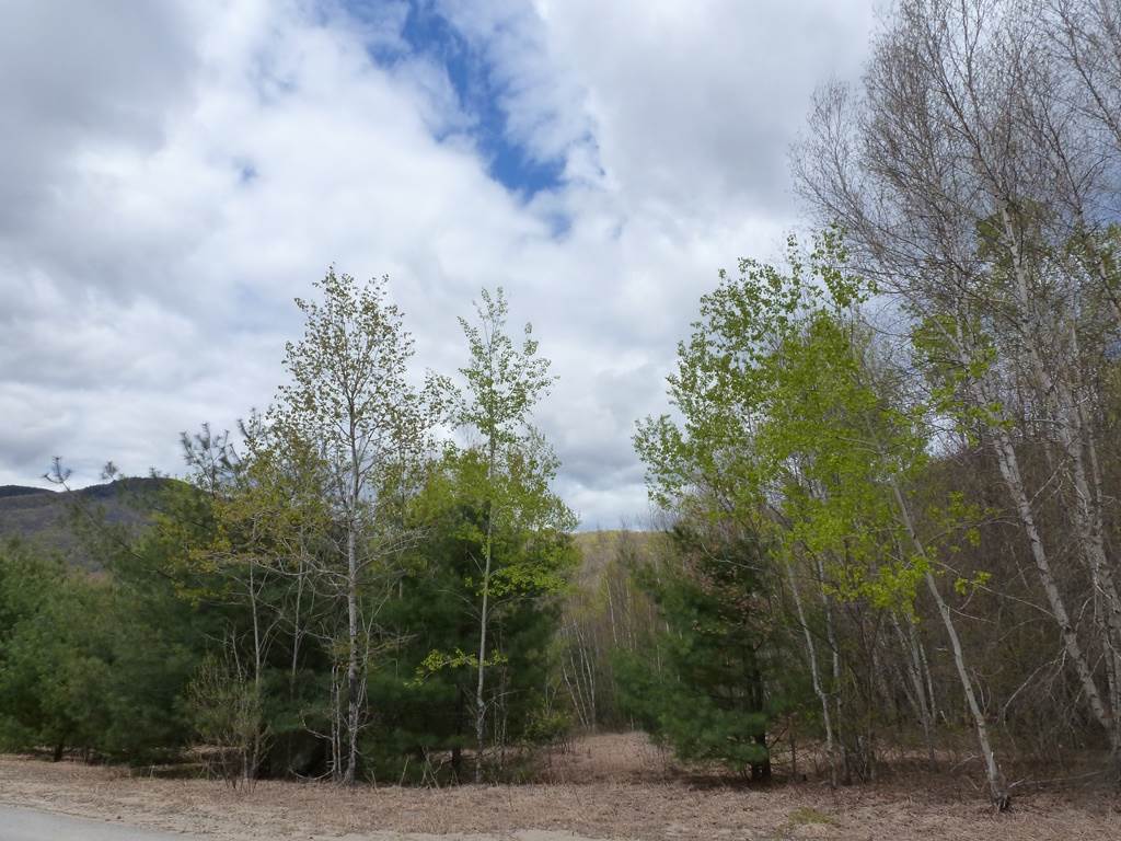 0 Waterfaill Drive, Campton, NH 03223