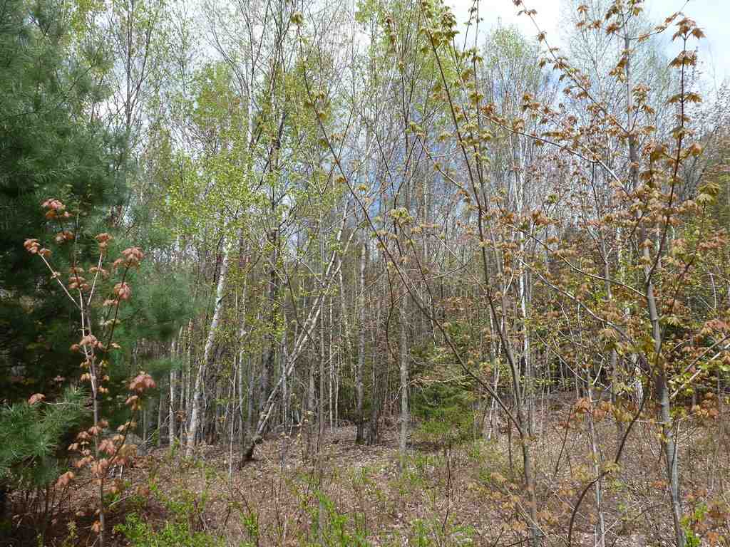 0 Waterfaill Drive, Campton, NH 03223