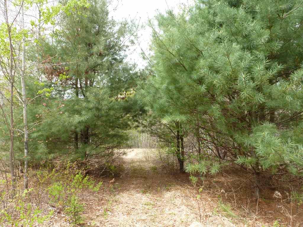 0 Waterfaill Drive, Campton, NH 03223