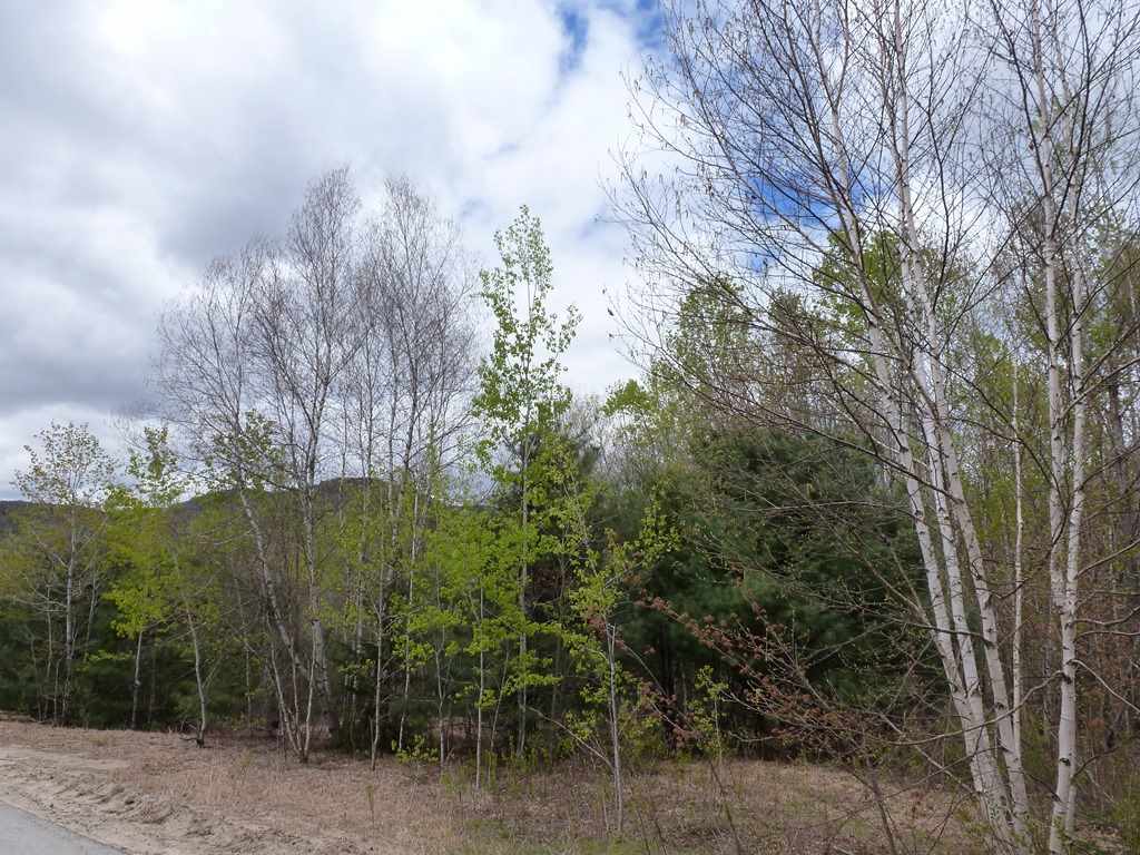 0 Waterfaill Drive, Campton, NH 03223