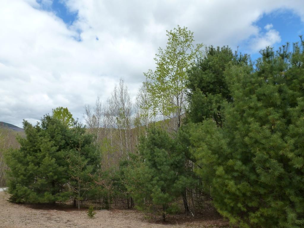 0 Waterfaill Drive, Campton, NH 03223