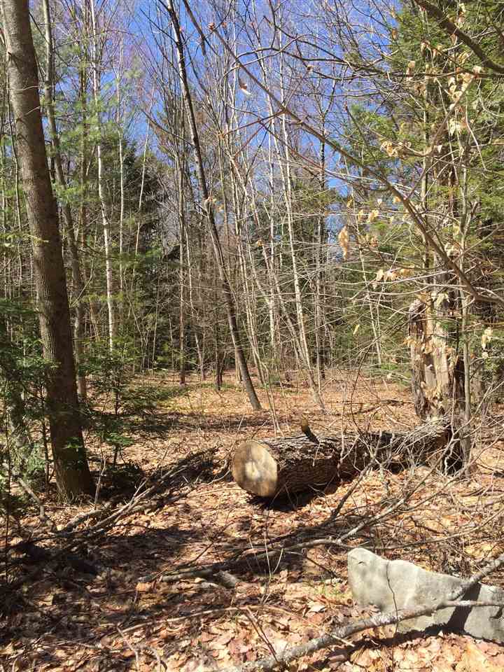 Birch Hill Circle, Campton, NH 03223