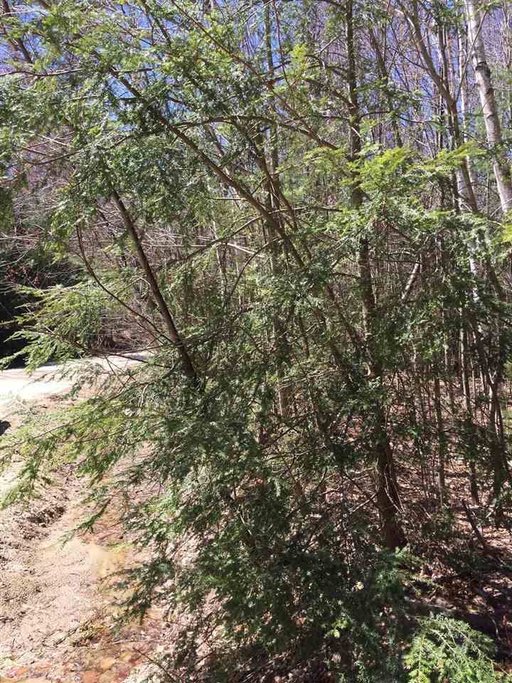 Birch Hill Circle, Campton, NH 03223