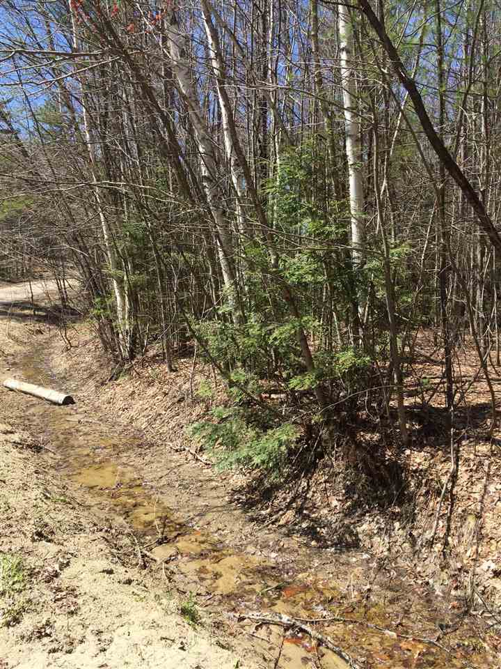 Birch Hill Circle, Campton, NH 03223