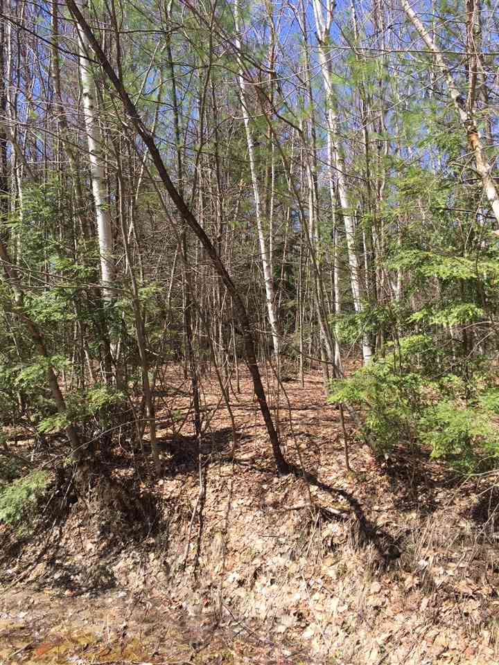 Birch Hill Circle, Campton, NH 03223