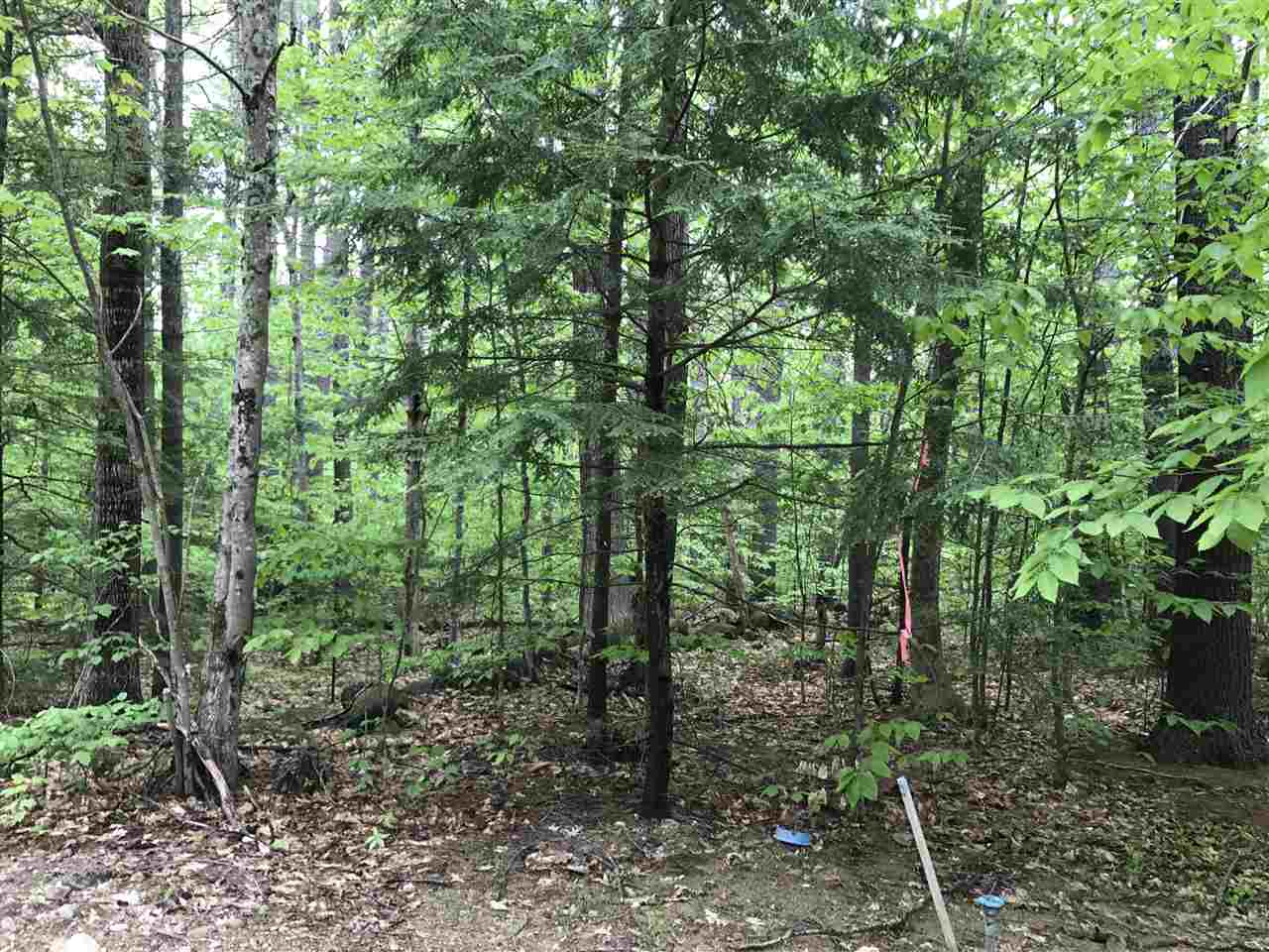 Lot 289 Newport Drive, Barnstead, NH 03225