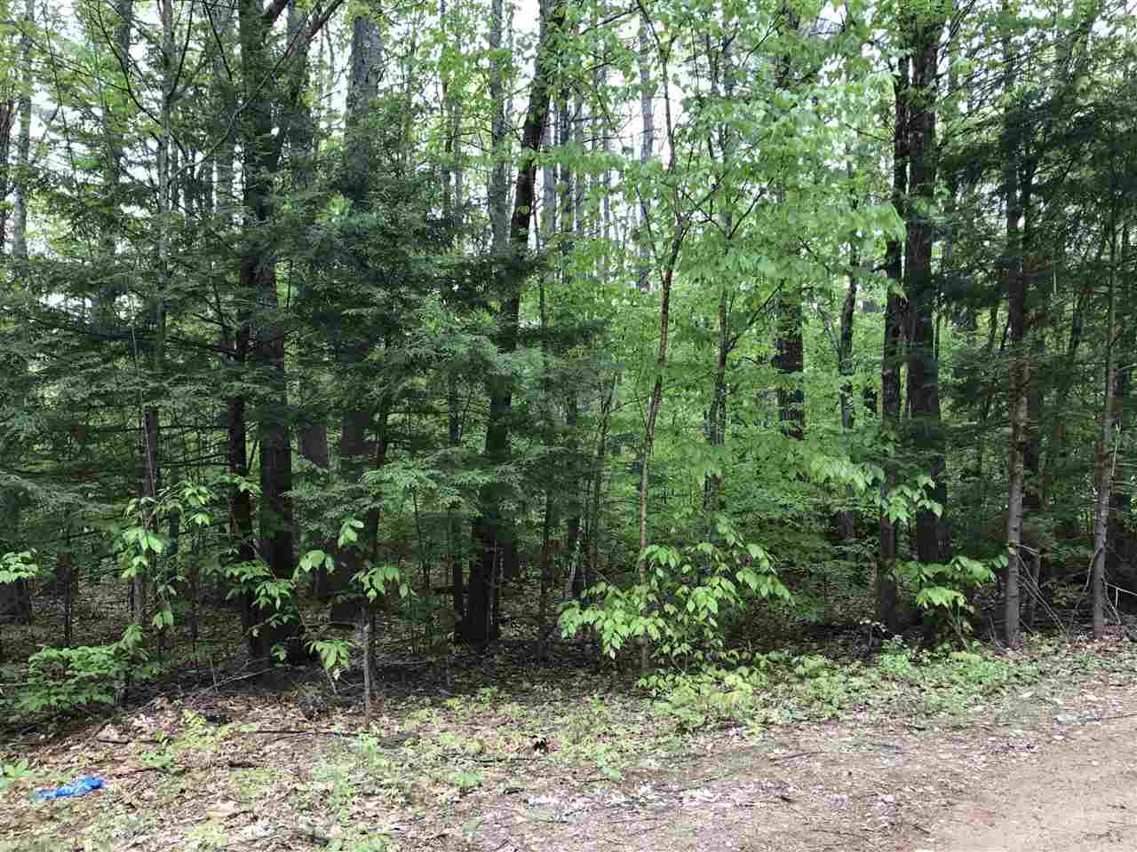Lot 289 Newport Drive, Barnstead, NH 03225