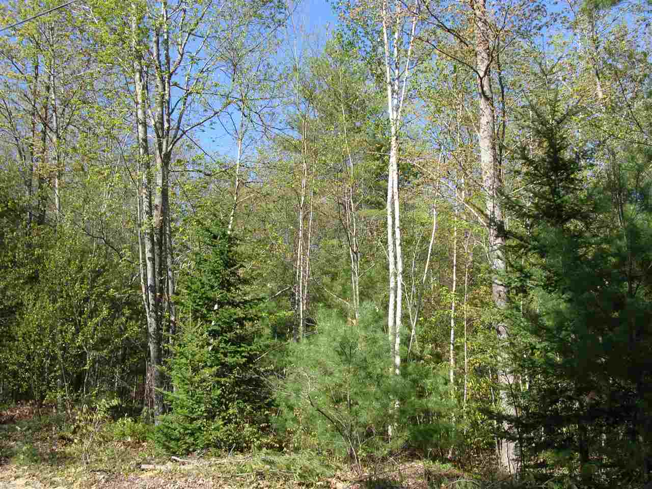Lot 38 Beaver Pond Dr., Barnstead, NH 03225