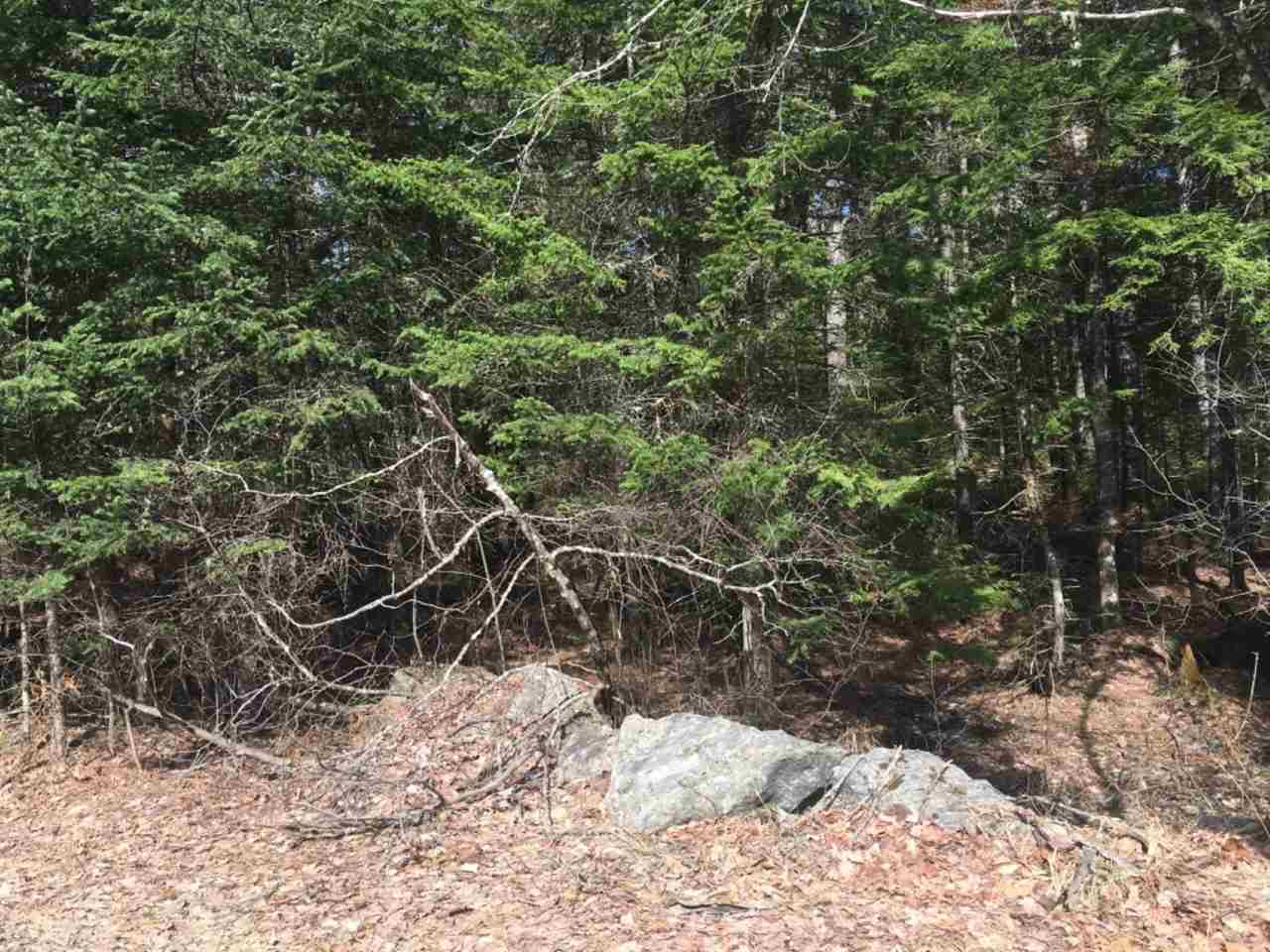 Tom Berry Road, Barnstead, NH 03225