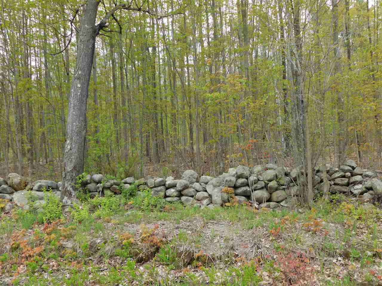 38-1 North Road, Barnstead, NH 03225