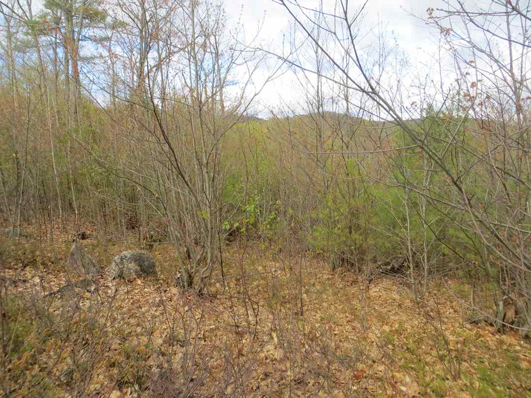 Lot 5 Fogg Hill Road, Center Harbor, NH 03226